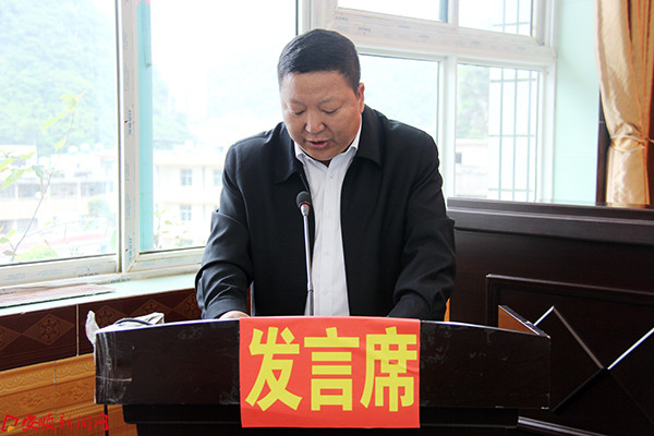 板当镇党委书记陈凯作经验交流发言.JPG 板当镇党委书记陈凯作经验交流发言.JPG