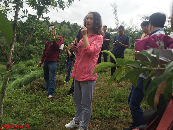 与会人员现场进行果树栽培和管理技术培训2.JPG
