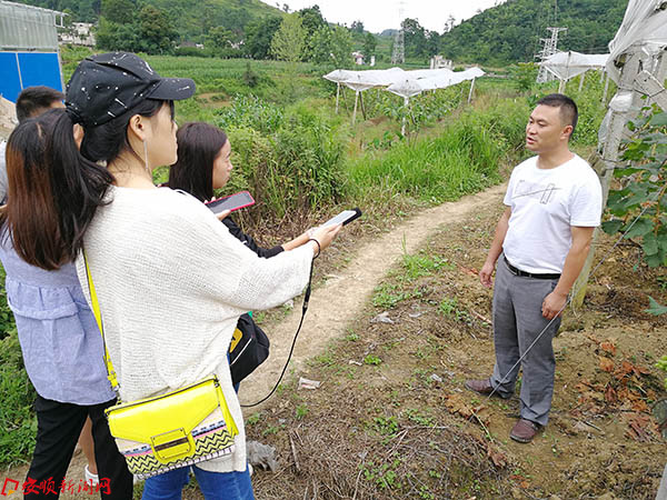田间地头采访.jpg