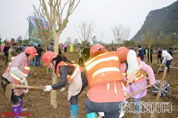 我市平坝区沪昆高速平坝段沿线产业结构调整建设项目举行开工仪式2.jpg 我市平坝区沪昆高速平坝段沿线产业结构调整建设项目举行开工仪式2.jpg