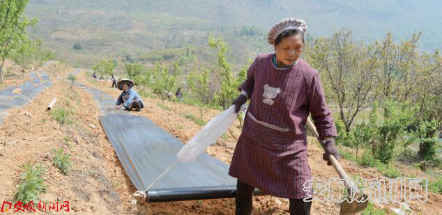 TIM截图20180327100732.jpg TIM截图20180327100732.jpg