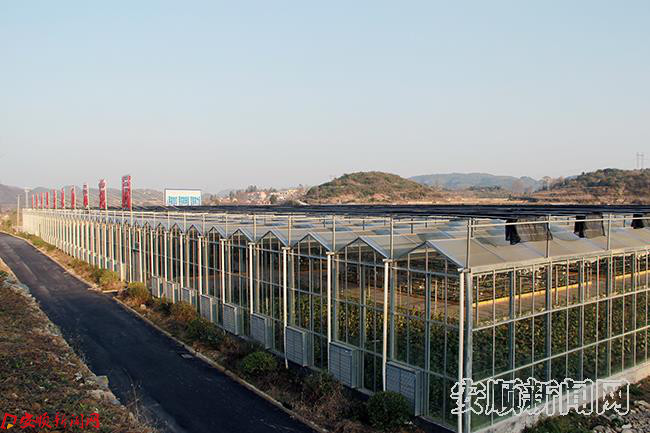 塘约村科技农业示范园 陈斌摄.JPG 塘约村科技农业示范园 陈斌摄.JPG