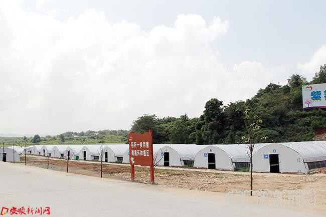 天龙镇高田村食用菌种植基地.JPG 天龙镇高田村食用菌种植基地.JPG