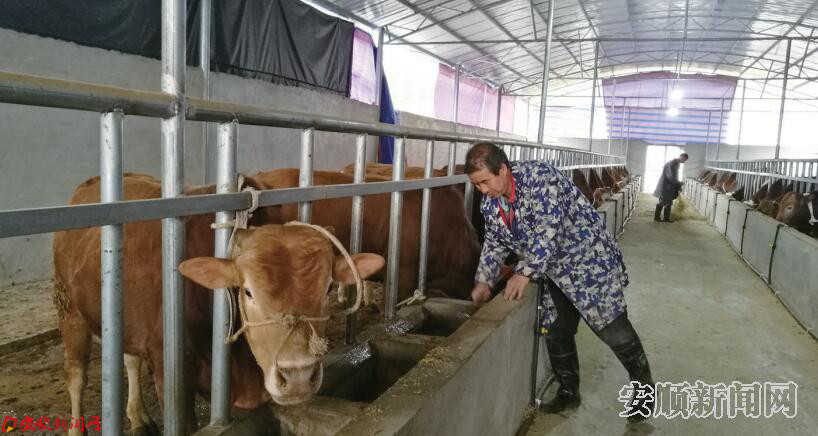 西秀区新合村:.jpg 西秀区新合村:.jpg