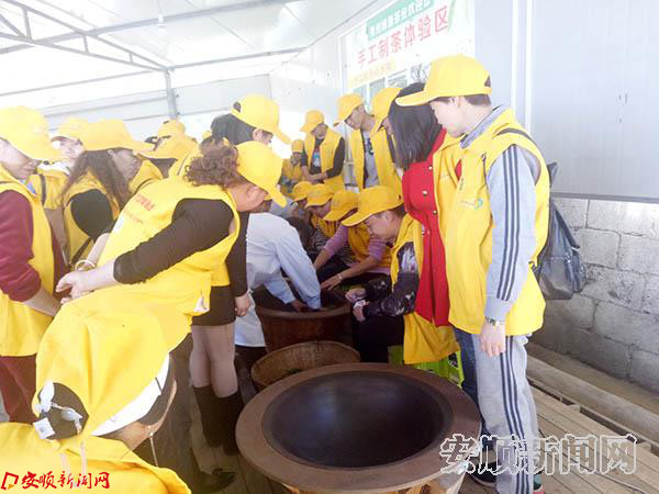 社区进茶园 体验茶文化 (13).jpg