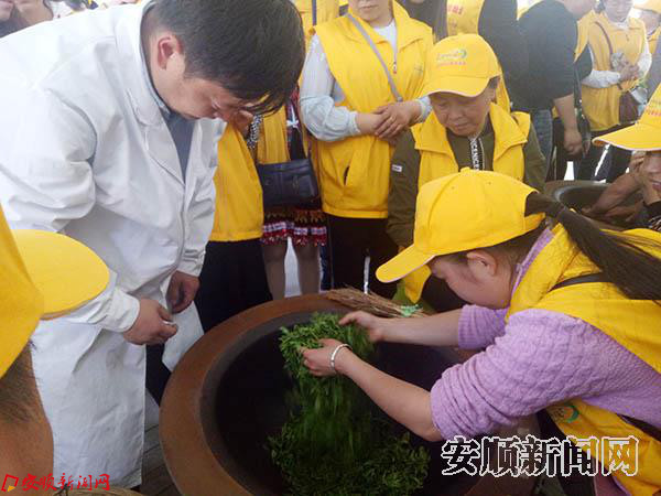 社区进茶园 体验茶文化 (14).jpg