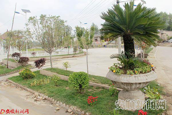 绿化完成的合旺村.JPG 绿化完成的合旺村.JPG