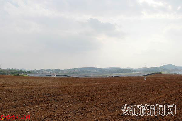 完成平整的600亩土地.JPG 完成平整的600亩土地.JPG