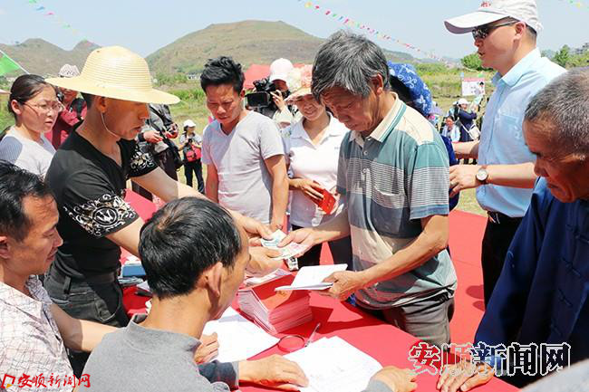 特色产业促发展 “三月三”来喜分红 (5).jpg