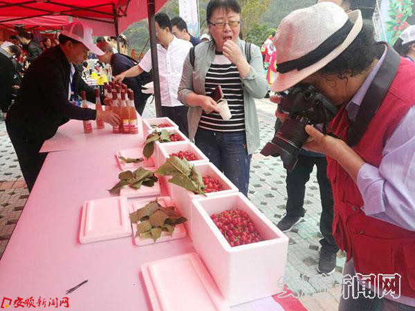 红红的樱桃好诱人.jpg 红红的樱桃好诱人.jpg