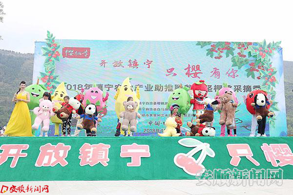 颁发《樱桃小玩家证书》及礼品.JPG 颁发《樱桃小玩家证书》及礼品.JPG