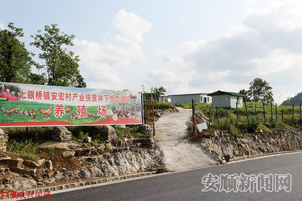 安宏村养鸡场.JPG