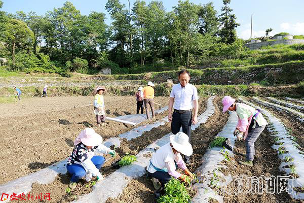 田间地头随处可见扶贫干部的身影.JPG