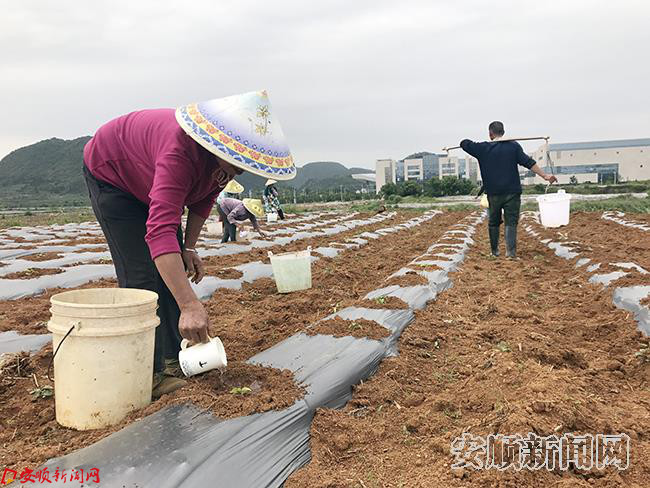 正在务工的新时代季节包工的群众.jpg 正在务工的新时代季节包工的群众.jpg