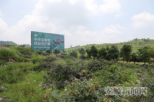 mmexport1563180874235