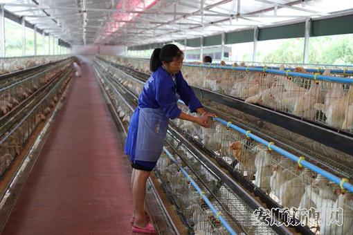 7cb8ce4e-55c0-4ba8-ac0d-59a5f6881662_IMAGE_4_副本.jpg