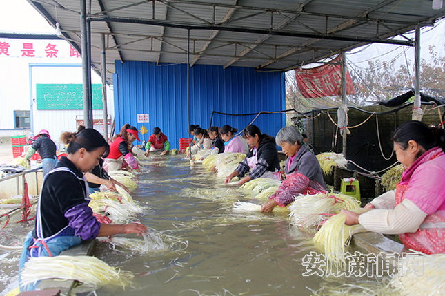 村民正在清洗韭黄