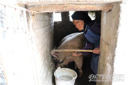 84157207-1ad9-4a3e-88e3-c874e0af8e32_IMAGE_10_副本.jpg