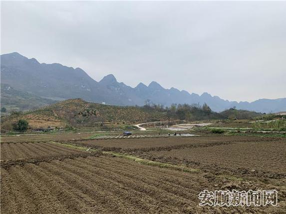 12333C77-80A0-4394-AB0F-5632C34EF754_IMAGE_16_LOW_0_副本.jpg
