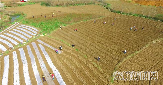 12333C77-80A0-4394-AB0F-5632C34EF754_IMAGE_22_LOW_0_副本.jpg