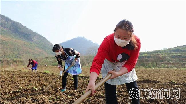 12333C77-80A0-4394-AB0F-5632C34EF754_IMAGE_21_LOW_0_副本.jpg