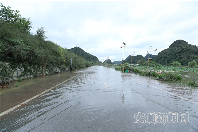 09AF570F-8F38-4405-9882-7A603F0FC65D_IMAGE_0_LOW_0