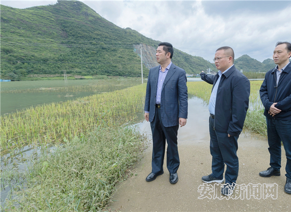 09AF570F-8F38-4405-9882-7A603F0FC65D_IMAGE_3_LOW_0