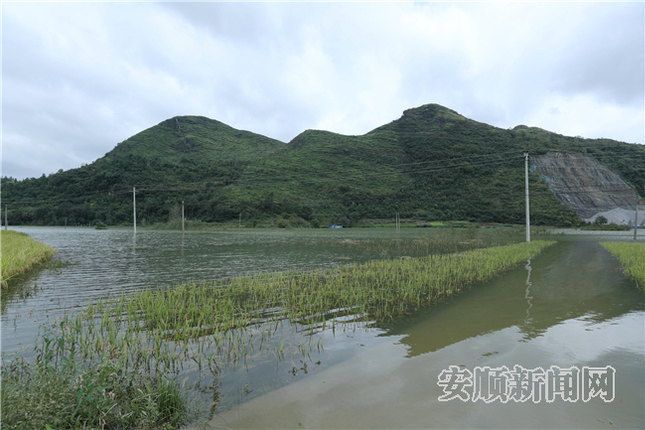 09AF570F-8F38-4405-9882-7A603F0FC65D_IMAGE_2_LOW_0