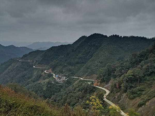 　　大营镇，地处紫云东南边陲，属“贫中之贫”“困中之困”的麻山中心地带，共辖14个村（居）6209户27161人，2014年，贫困发生率37.3%，加上交通闭塞，内联不通、外联不畅，贫困程度居高不下，是贵州省20个极贫乡镇之一。2016年，大营镇列为极贫乡镇时全镇建档立卡贫困户2589户10607人，贫困发生率29.9%。这一年，大营镇凝心聚力，发起了一场轰轰烈烈的脱贫之战。“目前，大营镇贫困发生率降至0%，我们已经达到了脱贫摘帽标准。”大营镇党委书记陈凯激动地说。