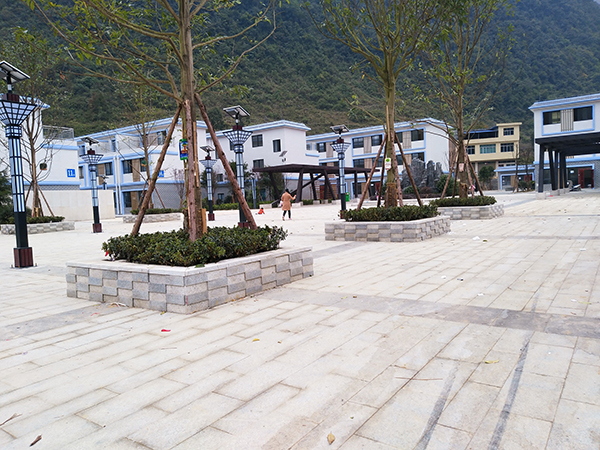 　　大营镇，地处紫云东南边陲，属“贫中之贫”“困中之困”的麻山中心地带，共辖14个村（居）6209户27161人，2014年，贫困发生率37.3%，加上交通闭塞，内联不通、外联不畅，贫困程度居高不下，是贵州省20个极贫乡镇之一。2016年，大营镇列为极贫乡镇时全镇建档立卡贫困户2589户10607人，贫困发生率29.9%。这一年，大营镇凝心聚力，发起了一场轰轰烈烈的脱贫之战。“目前，大营镇贫困发生率降至0%，我们已经达到了脱贫摘帽标准。”大营镇党委书记陈凯激动地说。