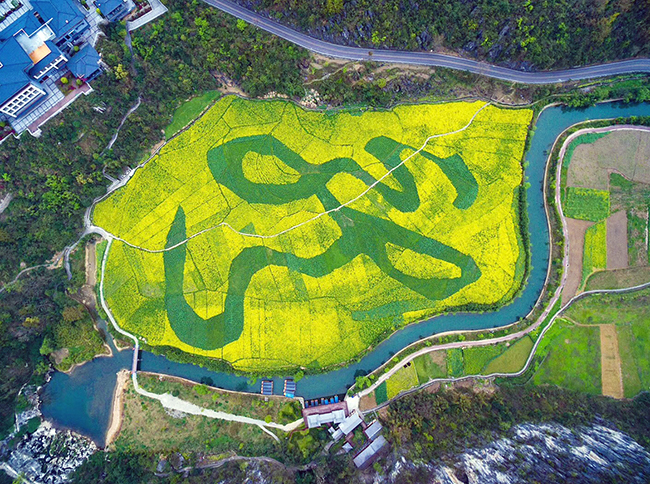 “十三五”以来，我市统筹推进“四个全面”战略和“五位一体”总体布局，坚持“绿水青山就是金山银山”“生态优先、绿色发展”的理念，守好发展和生态两条底线，坚决扛起生态文明建设和生态环境保护的政治责任，以污染防治攻坚战为抓手，统筹协调推进各项工作。我市生态环境质量稳中有升，实现了“生态环境只能变好，不能变坏”的目标。