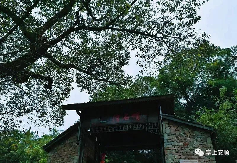 　　黄果树滑石哨是全国第一个布依民族保护村,在布依语中意为“一块大的偏石板”,因寨子建在大小不等的偏石板上而得名。它是《西游记》、《芦笙恋歌》、《天下粮仓》、《致我们终将逝去的青春》等影视剧的拍摄地。用“半匹梯田依烟陂,一溪清水绕绿榕”来形容它，一点儿也不为过。