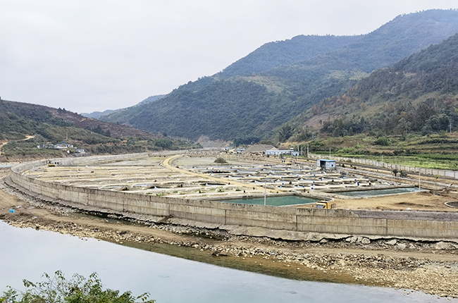 　　临近春节，磨上村板岩组冷水鱼养殖基地正迎来销售的又一个旺季，养殖基地里聘用的当地员工十分高兴地说：“养鱼场丰收，我们就增收”。镇宁自治县简嘎乡生态冷水鱼养殖场位于简嘎乡磨上村板岩组，该乡按照“公司+合作社+农户”的模式将板岩组闲置的160亩河滩改造成冷水养鱼基地，项目固定资产投入4000万元，年产出名特优鲜鱼2000吨。目前已与北京、广东、上海、青岛、贵阳等地市场签了大订单，让特色产品变成帮助百姓增收的真金白银。（安顺日报大数据智慧全媒体记者  张江隆）