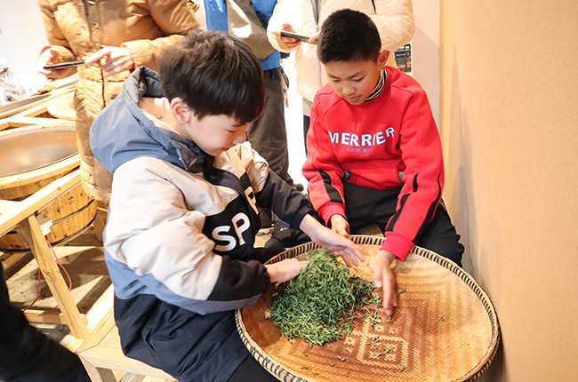 　　3月21日，西秀区旧州镇茶岭村茶场迎来了一批小客人，他们在家长和老师的带领下体验采茶乐趣，制作成品干茶，学习茶叶知识。图为旧州小锅茶体验馆内孩子们在老师指导下学习做绿茶。（安顺日报社大数据智慧全媒体记者 刘现虹）