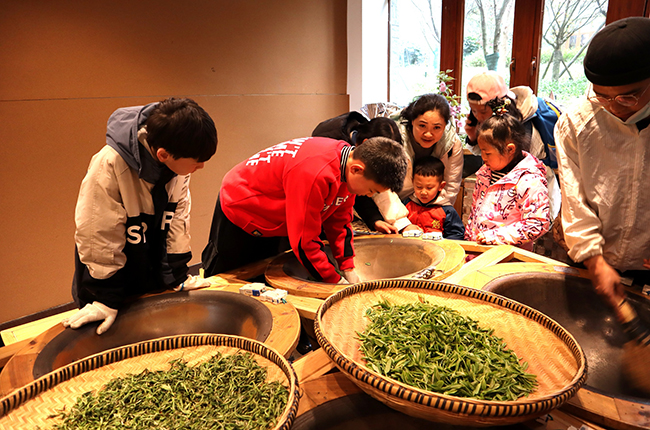 　　3月21日，西秀区旧州镇茶岭村茶场迎来了一批小客人，他们在家长和老师的带领下体验采茶乐趣，制作成品干茶，学习茶叶知识。图为旧州小锅茶体验馆内孩子们在老师指导下学习做绿茶。（安顺日报社大数据智慧全媒体记者 刘现虹）