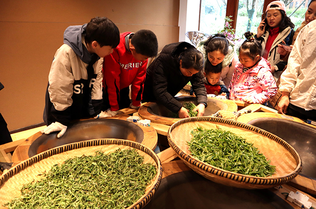 　　3月21日，西秀区旧州镇茶岭村茶场迎来了一批小客人，他们在家长和老师的带领下体验采茶乐趣，制作成品干茶，学习茶叶知识。图为旧州小锅茶体验馆内孩子们在老师指导下学习做绿茶。（安顺日报社大数据智慧全媒体记者 刘现虹）