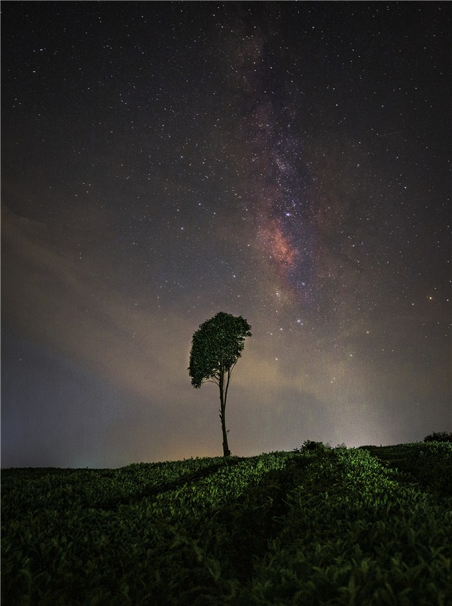 　　八月，晴空朗月之下，正是摄影爱好者拍摄星空的好时机。近日，安顺摄影爱好者们走进紫云格凸河、十二茅坡、普屯坝等地，拍摄一张张美轮美奂的星空照片，这些照片有的群星璀璨，有的银河悬挂天际，有的如梦如幻，给人们带来不一样的视觉盛宴。
　　图为西秀区十二矛坡星空 周丽丽摄于2021年8月18日
　　（安顺日报社大数据智慧全媒体记者 武贵琼）