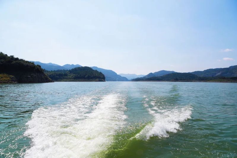 1658977495866492.jpg 4.jpg