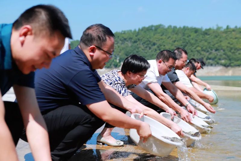 1658977500184674.jpg 5.jpg