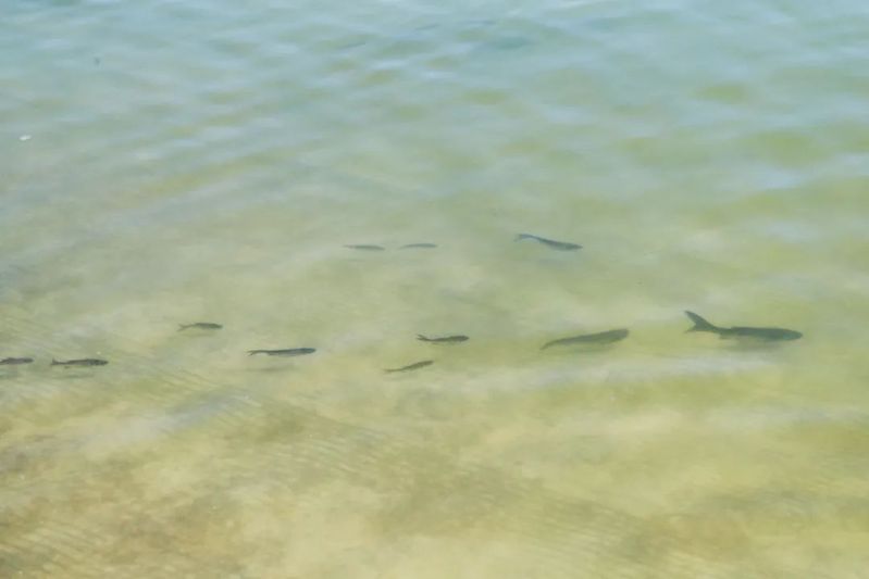 1658977505590134.jpg 6.jpg