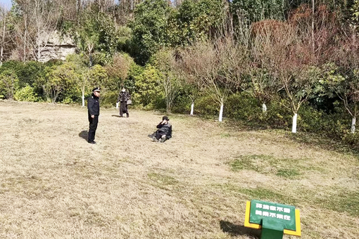 文明旅游曝光2