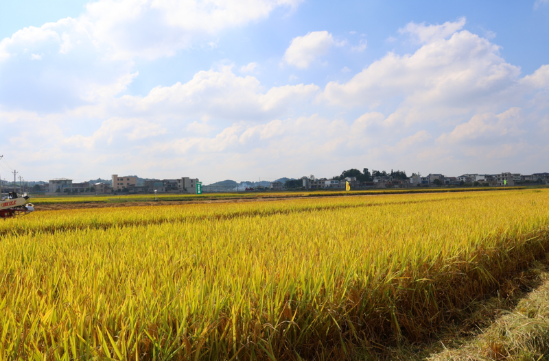 微信截图_20240922213451.png 微信截图_20240922213451.png