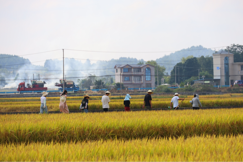 微信截图_20240922213355.png 微信截图_20240922213355.png