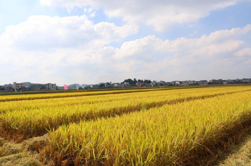 微信截图_20240922213052.png 微信截图_20240922213052.png