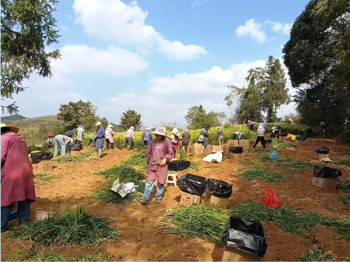 a57ca81dd912cb3ffe3a0a44470beb35_640_wx_fmt=png&from=appmsg&tp=webp&wxfrom=5&wx_lazy=1&wx_co=1.png a57ca81dd912cb3ffe3a0a44470beb35_640_wx_fmt=png&from=appmsg&tp=webp&wxfrom=5&wx_lazy=1&wx_co=1.png