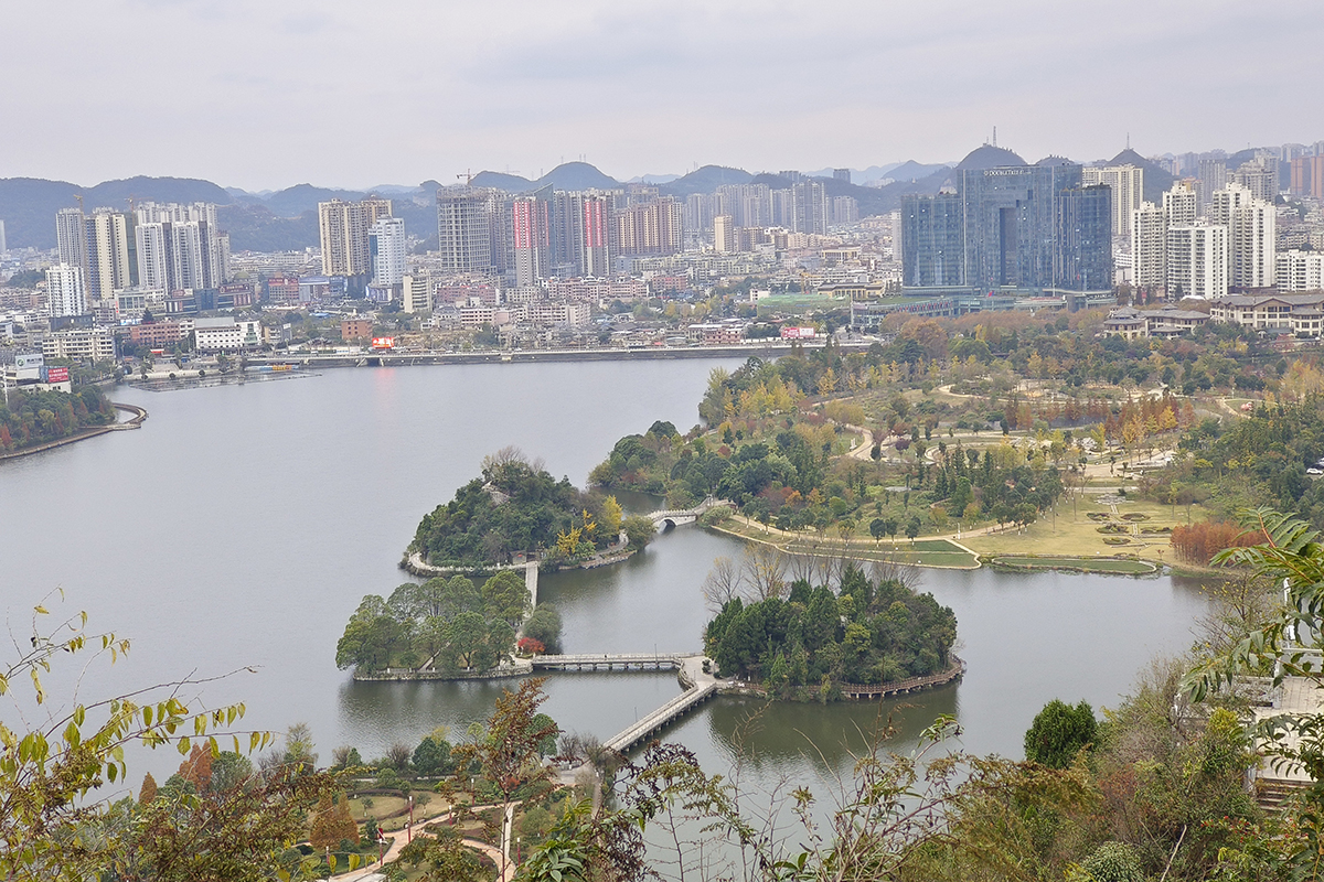 　　入冬以来，在安顺黄果树大街、金钟山、虹山湖、家运天城、圆通寺等地，一棵棵银杏树像是被大自然打翻的调色盘，成为一道独特风景线。微风拂过，璀璨金黄的银杏树叶沙沙作响，或摇曳枝头，或轻盈飘落，绘就一幅绚烂的冬日画卷。（安顺日报融媒体中心记者 陈婷婷 摄）
