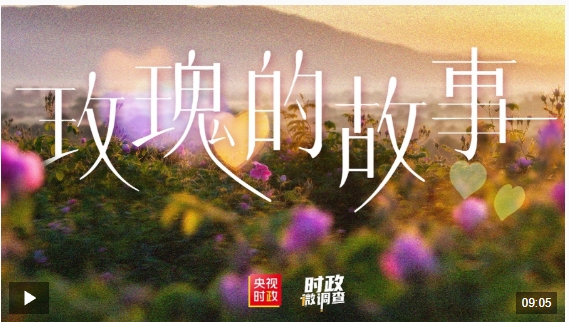 微信截图_20250326121156