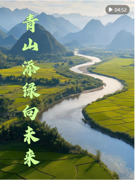 截图20250403205625