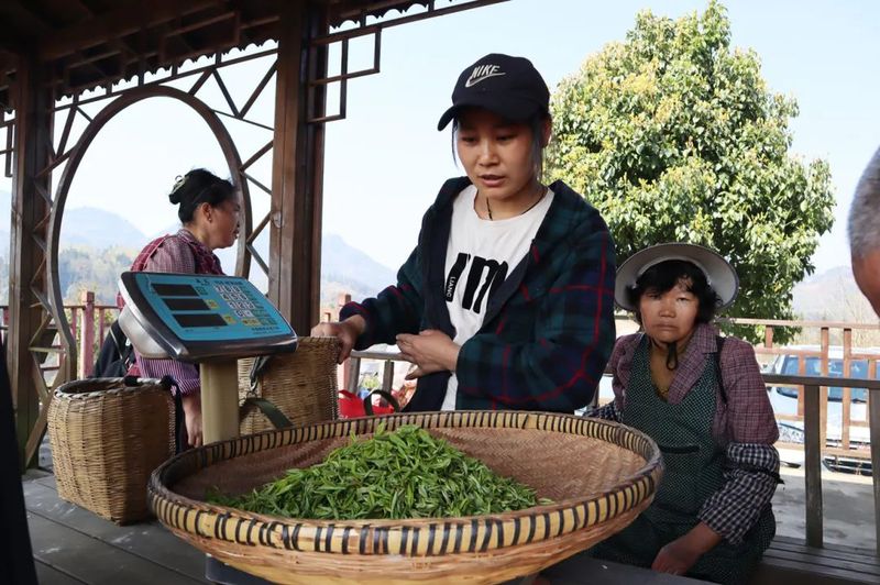 binary_large (1).jpg