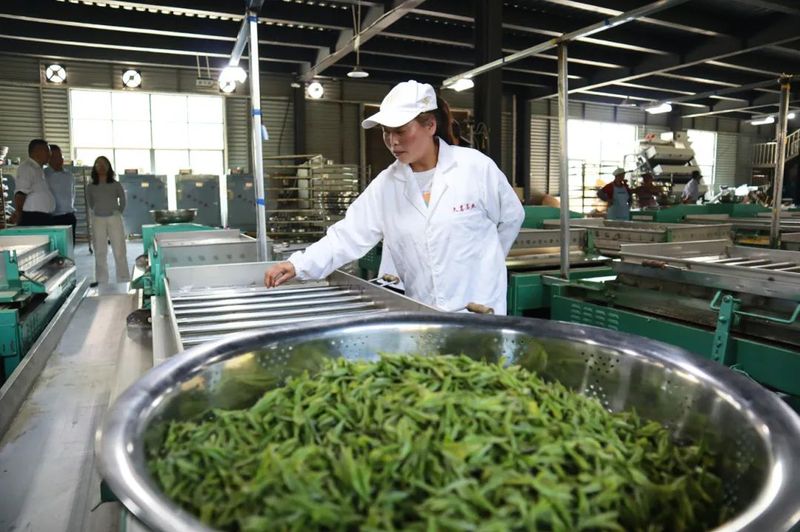 binary_large (2).jpg